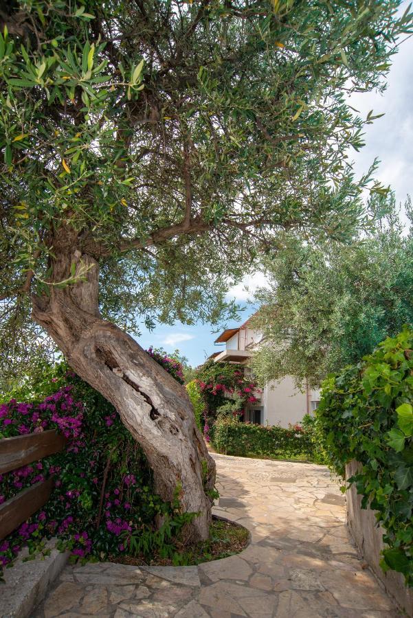 The Olive Terrace Apartments Palase Exterior foto